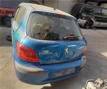Peugeot 307 2.0 HDi FAP CAT (107 CV / 79 KW) (107 CV / 79 KW) - Despie