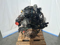Motor Ford Ecosport 1.5 Ecoblue Tdci XVJD