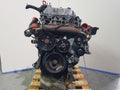 Motor 665925 10508189 Carter Roto Inyeccion Delphi Ssangyong Rexton Rx 270 Plus 270 Xdi Plus