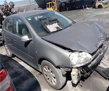 Volkswagen Golf V Berlina 1.9 TDI (105 CV / 77 KW) (105 CV / 77 KW) -