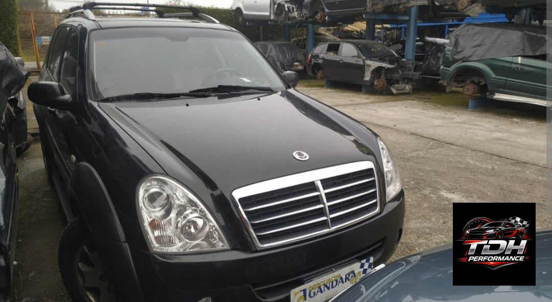SsangYong Rexton II Y250 (2006-2012) - Despiece / Recambios