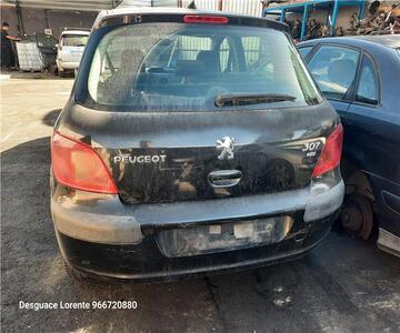 Peugeot 307 2004 - Despiece