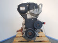 Motor Ford Focus Lim Cb8 Ambiente IQDB