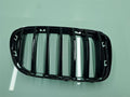 Rejilla Capo BMW Serie X4