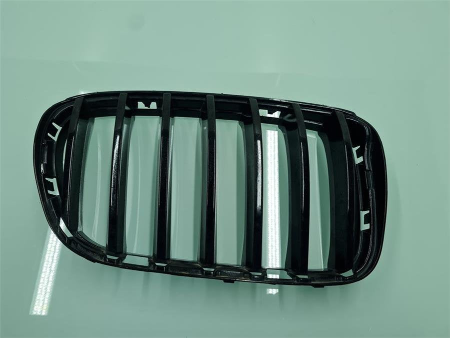 Rejilla Capo BMW Serie X4