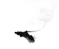 Bomba de embrague KG19015645 de Ford Transit bus (ttg)