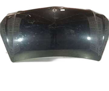 Capot de Mercedes-benz Clase e (bm 212) familiar