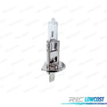 Bombilla H1 12V 55W