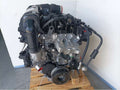 Motor BMW Serie X1 U11 Sdrive 1 8I B38A15P