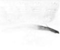 Torpedo a2128301013 de Mercedes-benz Clase e (bm 212) familiar