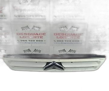 Rejilla paragolpes delantero 1304699070 de Citroen Jumper furgon