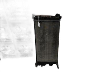 Radiador agua. 215060009R de Renault Scenic iii (jz)