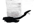 Potenciómetro pedal 31329062 de Volvo Xc60