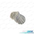 KIT DE Discos Pulidora