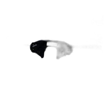 Mando multifunción 96627927t de Citroen C4 berlina