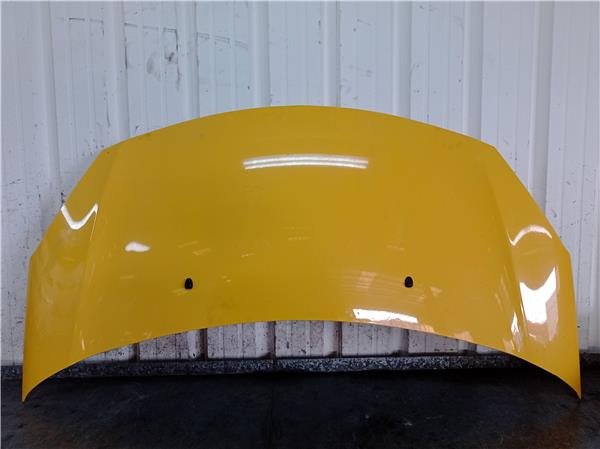 Capo DS Citroen DS3 Ref. 203162