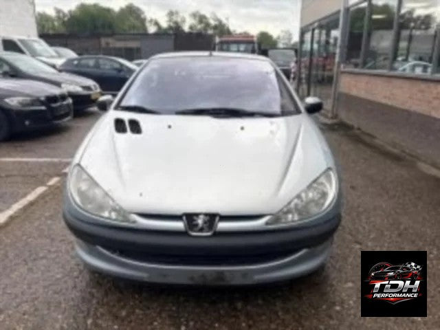 Peugeot 206 (1998-2009) Despiece / Recambios Carrocería T1
