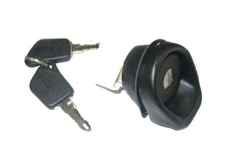 Piezas puerta maletero Peugeot 205
