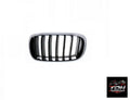 Rejilla BMW X6 Nuevo Ref. 51137294485
