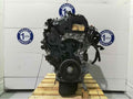 Motor 8H01 475999 Citr N C3 Collection