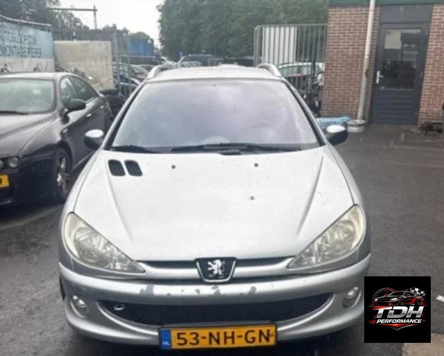 Peugeot 206 SW (2002-2007) Despiece / Recambios