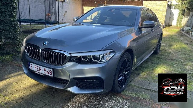 BMW Serie 5 G30 (2017-2023) Despiece / Recambios