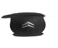 Airbag izquierdo 96877137zd de Citroen C5 iii break (rw_)