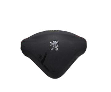 Airbag izquierdo 6044266 de Peugeot 207 sw