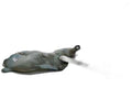 Deposito liquido limpiaparabrisas 9650452280 de Peugeot 307 break/ sw (s2)
