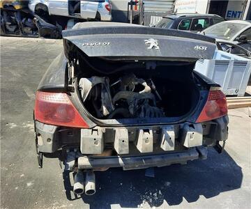 Peugeot 407 Coupe 2005 - Despiece