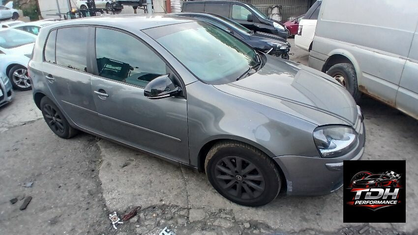 Volkswagen Golf V (1K) 2003-2008 Gris Antracita - Despiece / Recambios