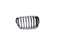 Rejillas Bmw SERIE 1