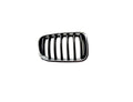 Rejillas Bmw X3