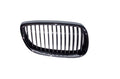 Rejillas izquierdo Bmw SERIE 3