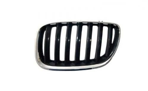 Rejillas izquierdo Bmw X5