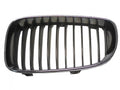Rejillas izquierdo Bmw SERIE 1