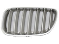 Rejillas izquierdo Bmw X5