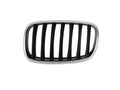 Rejillas izquierdo Bmw X5
