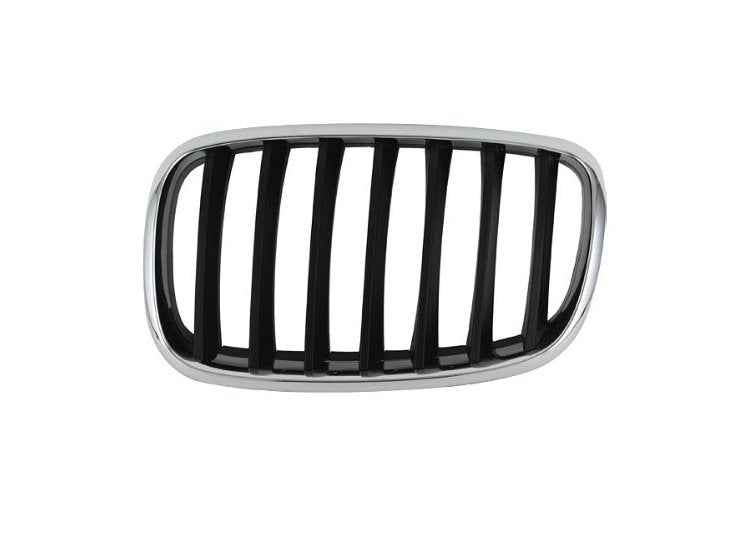 Rejillas izquierdo Bmw X5