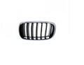 Rejillas Bmw X6